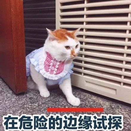 又惨又好笑，体育生游泳被黑天鹅暴打！发生在徐家汇公园？不实！
