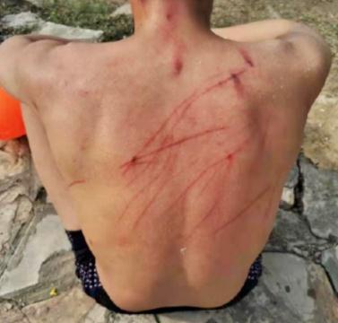 高校体育生下湖游泳,被黑天鹅“暴揍” 高校体育生下湖游泳,被黑天鹅“暴揍”