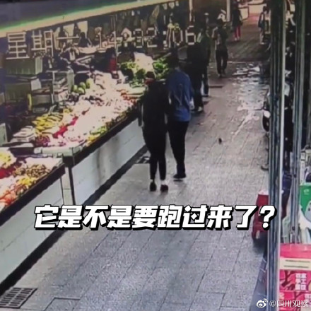 女子菜市遇老鼠吓到抱住陌生人