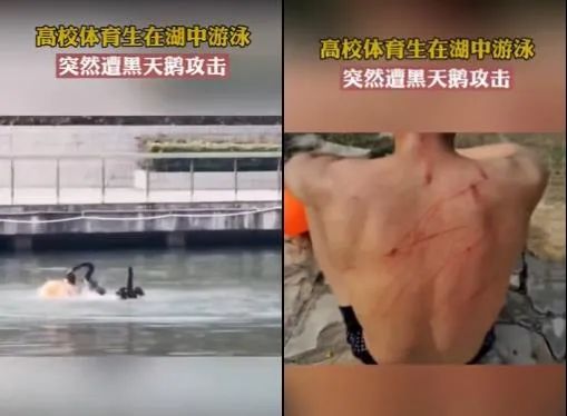 网传这事发生在徐家汇公园？真相在此→