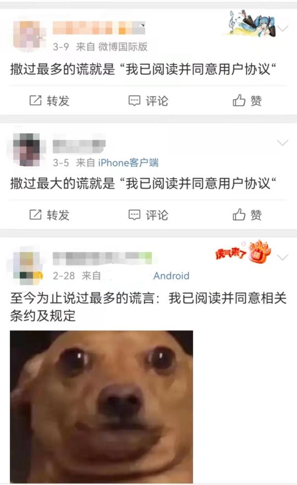 “我撒过最多的谎就是‘已阅读并同意用户协议’！”