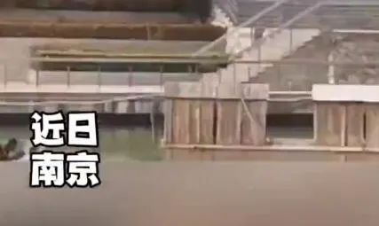 网传这事发生在徐家汇公园？真相在此→