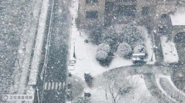 高速封了！天津的雪已经下成这样！