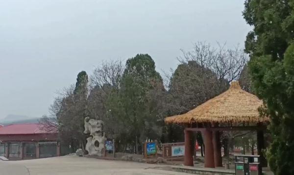 网友刷屏！济南三月下冰雹