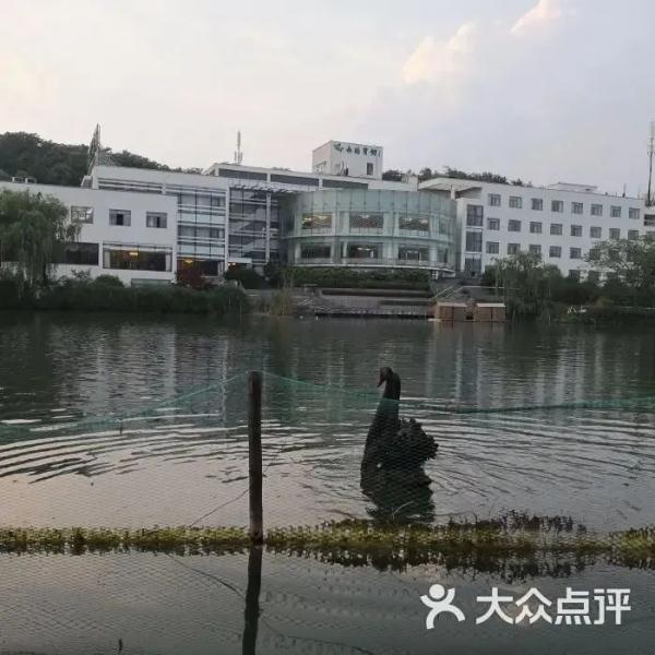 网传这事发生在徐家汇公园？真相在此→