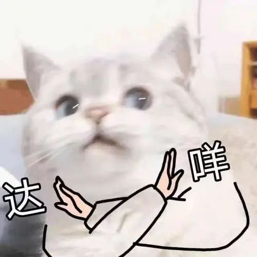 又惨又好笑，体育生游泳被黑天鹅暴打！发生在徐家汇公园？不实！