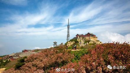 泰山景区明日起暂停开放 恢复开放时间另行通知