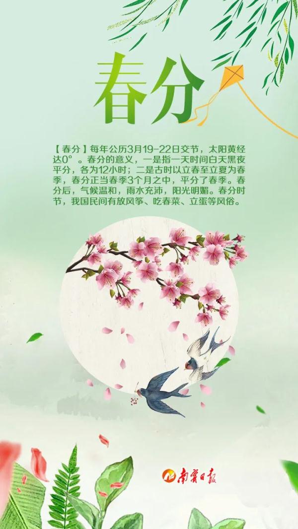 今日春分|春来山花开,疫去燕归来 今日春分|春来山花开,疫去燕归来