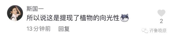 代收点的快递发芽了！女生取快递，发现包裹“长”出了绿叶...