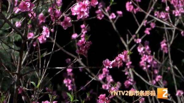 大风+湿度低+紫外线强……春季过敏高发期，当心这种病找上门！