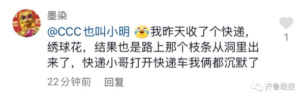 代收点的快递发芽了！女生取快递，发现包裹“长”出了绿叶...