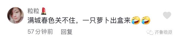 代收点的快递发芽了！女生取快递，发现包裹“长”出了绿叶...