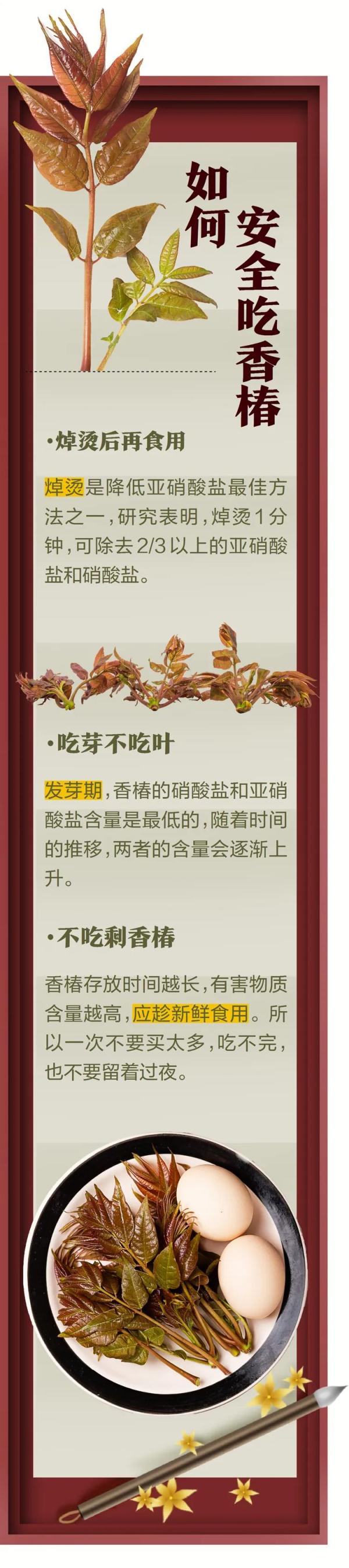 吃香椿进了ICU？医生提醒→
