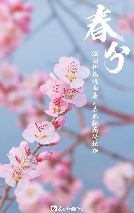 今日春分,我们用诗词的方式打开春天 今日春分,我们用诗词的方式打开春天