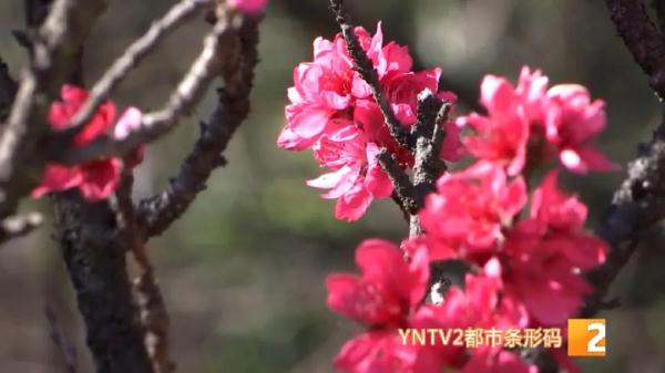 大风+湿度低+紫外线强……春季过敏高发期，当心这种病找上门！