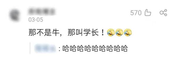 牛“学长”羊“学姐，这是一所建在“动物园”里的大学？