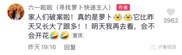 代收点的快递发芽了！女生取快递，发现包裹“长”出了绿叶...