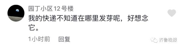 代收点的快递发芽了！女生取快递，发现包裹“长”出了绿叶...