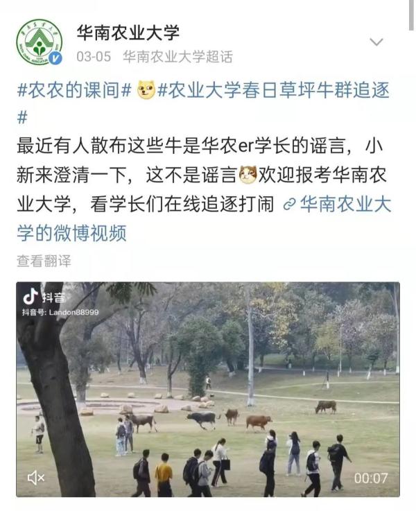 牛“学长”羊“学姐，这是一所建在“动物园”里的大学？