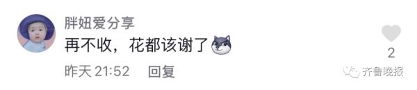 代收点的快递发芽了！女生取快递，发现包裹“长”出了绿叶...