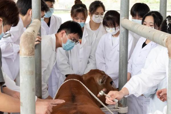牛“学长”羊“学姐，这是一所建在“动物园”里的大学？