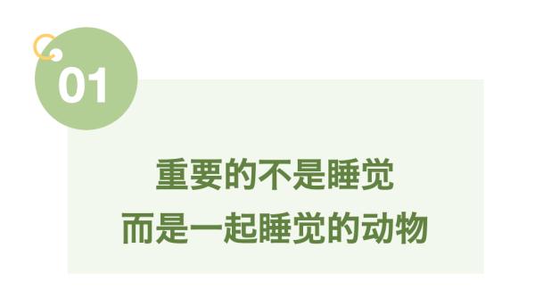 小动物睡眠图鉴，哪款你爱了？