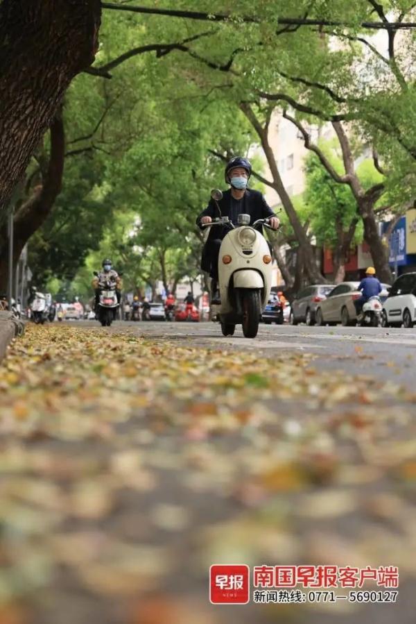 速冻！南宁气温重回1字头！