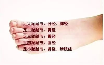 经络不通人易老！睡前足背拉一拉，疏通四条经络