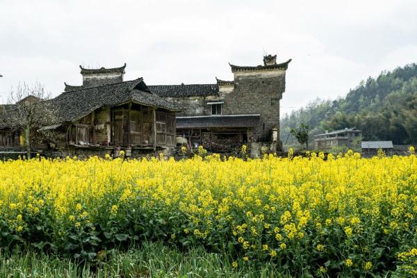张家界：古村落石堰坪的春天