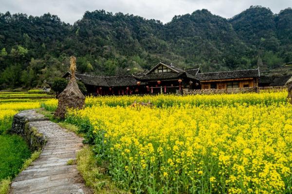张家界：古村落石堰坪的春天