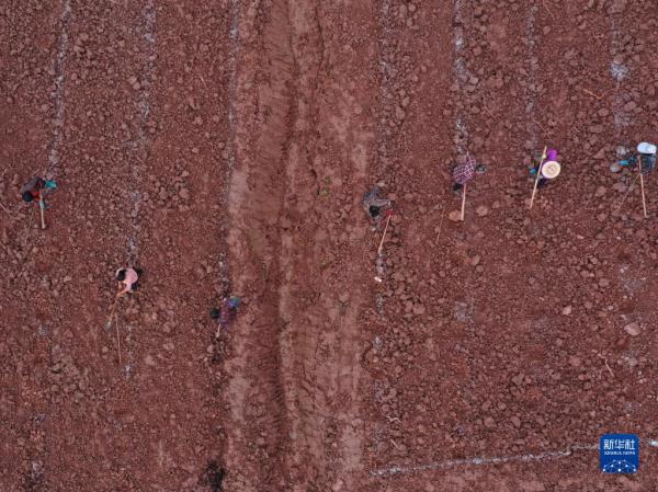 春暖时节农事忙 春暖时节农事忙