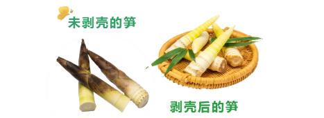 竹笋怎么选？怎么吃？听听专家怎么说