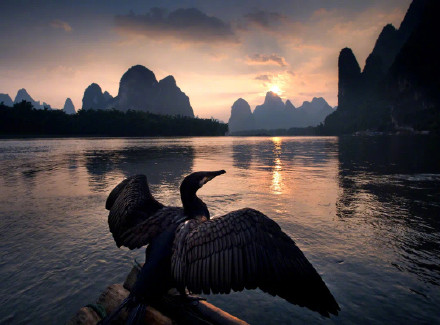 漓江渔民大变身,捕鱼技艺永传承 漓江渔民大变身,捕鱼技艺永传承