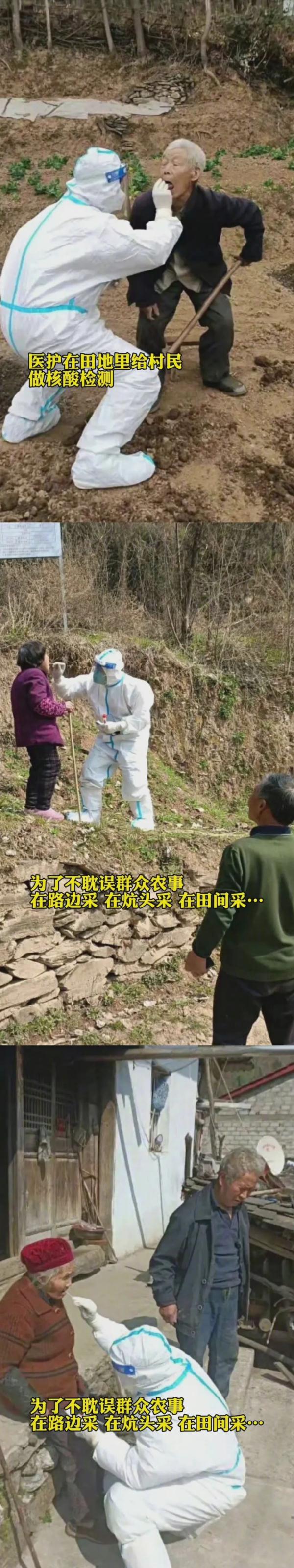 “大白”隐藏技能：母牛的产后护理、兔兔喂养、种田收菜……