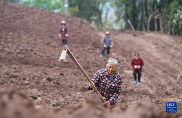 春暖时节农事忙 春暖时节农事忙