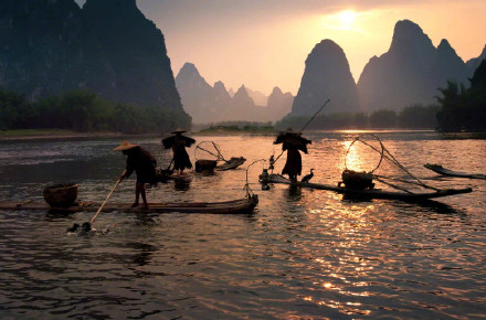 漓江渔民大变身,捕鱼技艺永传承 漓江渔民大变身,捕鱼技艺永传承