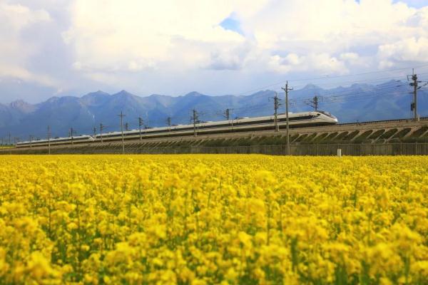 期待!兰新高铁兰西段提质达速工程今日开工 期待!兰新高铁兰西段提质达速工程今日开工