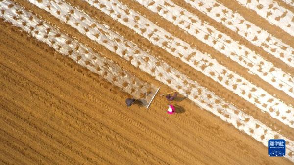 春暖时节农事忙 春暖时节农事忙