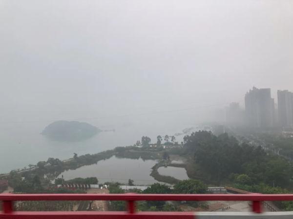 暴雨！大风！厦门发布最新预警→
