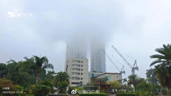 暴雨！大风！厦门发布最新预警→