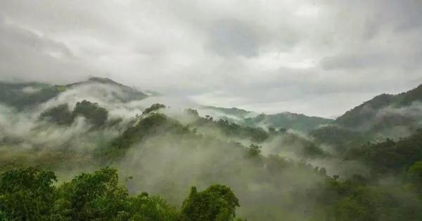 深山密林里的神奇“大嘴鸟”，它的嘴到底有多大？