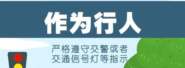 这样的事故，行人负全责！