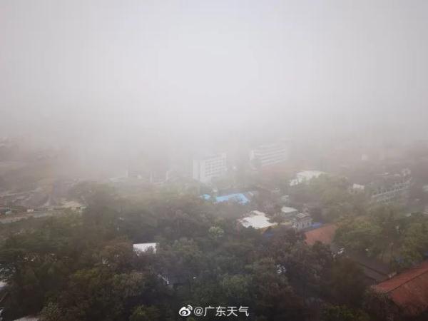 今早大雨+大雾!春雨季节,很多人煲汤祛湿!医生提醒…… 今早大雨+大雾!春雨季节,很多人煲汤祛湿!医生提醒……
