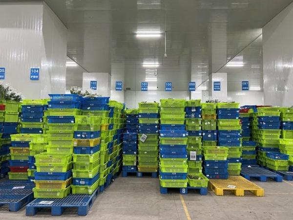 网传"上海几大蔬菜批发市场封闭"不实！一区菜场全关？回应→