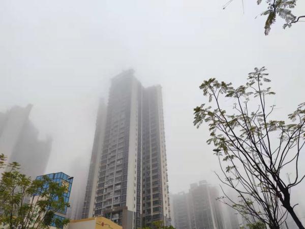 @南宁人，“回南天”又来了！持续到.....