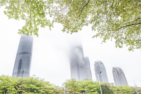 今早大雨+大雾!春雨季节,很多人煲汤祛湿!医生提醒…… 今早大雨+大雾!春雨季节,很多人煲汤祛湿!医生提醒……