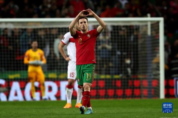 世界杯预选赛：葡萄牙胜土耳其