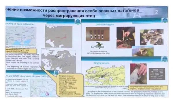 俄方披露:拜登儿子参与投资美在乌生物实验 俄方披露:拜登儿子参与投资美在乌生物实验