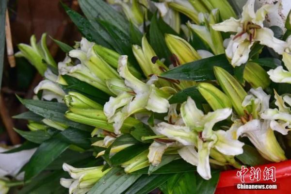 坠机乘客家属遭遇网暴,他们现在最需要什么? 坠机乘客家属遭遇网暴,他们现在最需要什么?