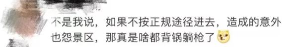 大学生爬庐山坠亡,父母索赔90万被驳 大学生爬庐山坠亡,父母索赔90万被驳